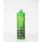 RHEEDMON ICE LINE Maschera Professionale per Capelli alla Menta rinfrescante 250 ML